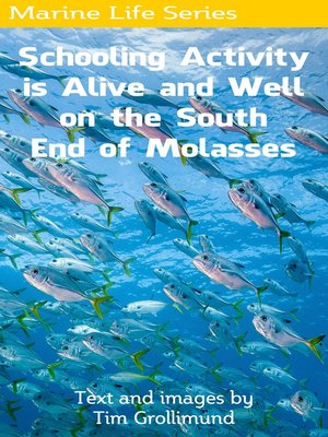 cover image of Schooling Activity is Alive and Well on the South End of Molasses